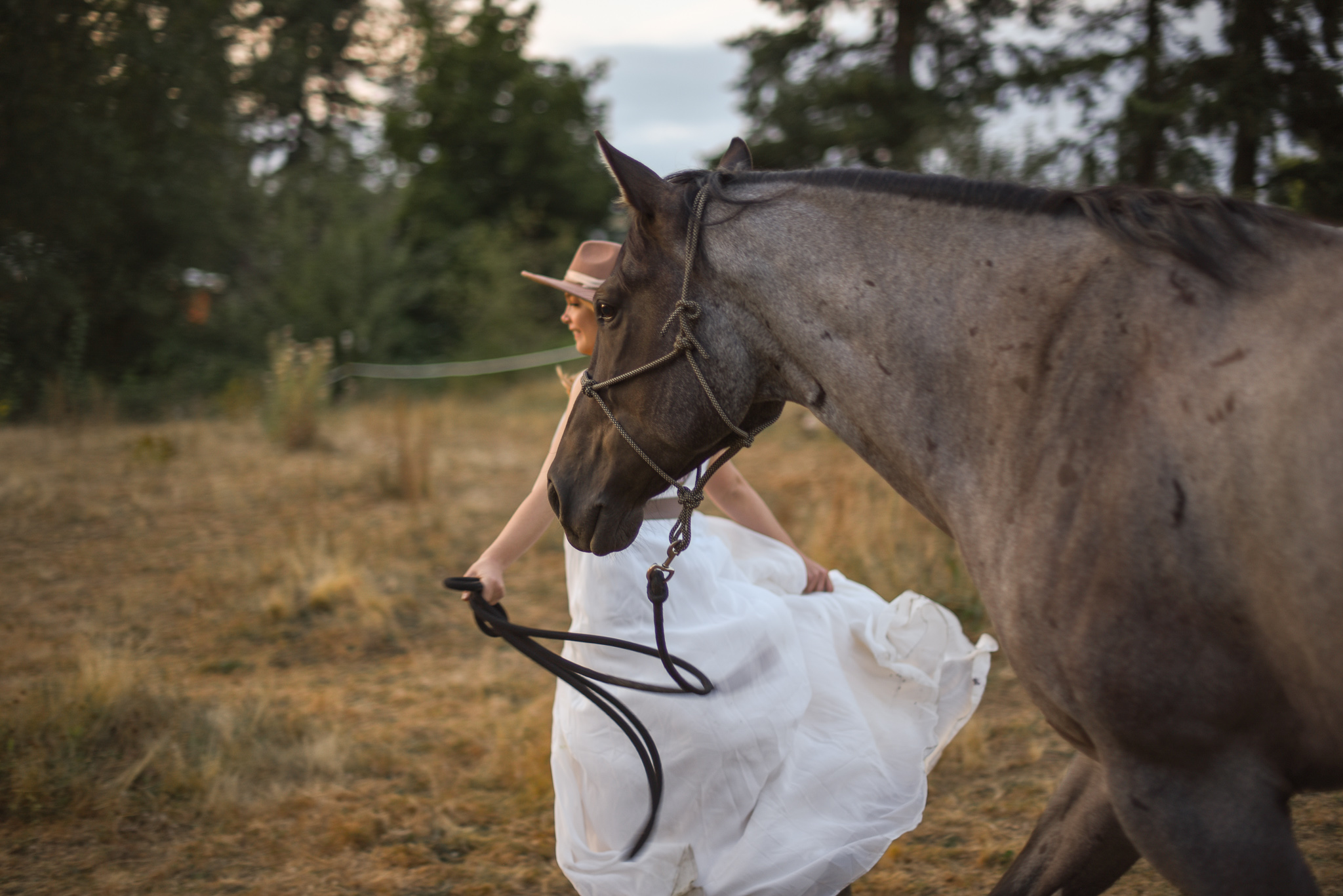 Ready for your Equestrian Session?