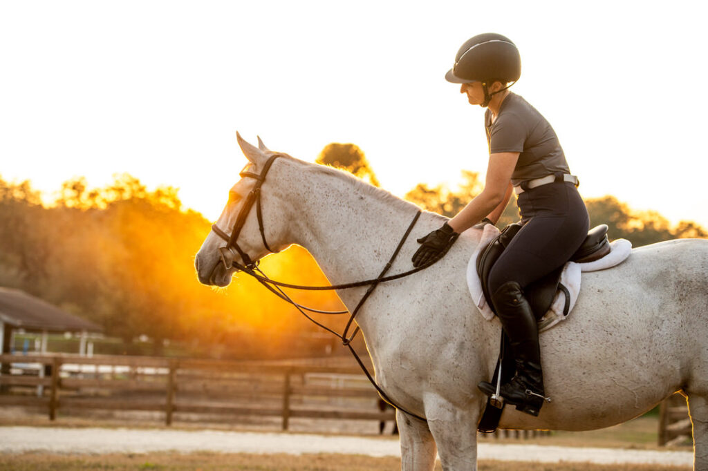 Horse & Rider Photographed for Botori in Orlando, Florida