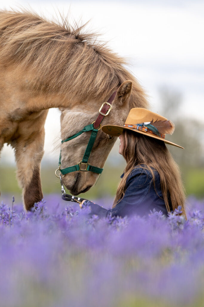 horse and rider western fashion purple flower field