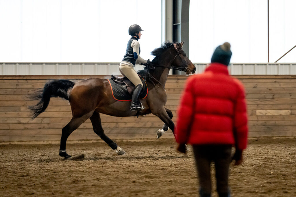 Anne Kursinski Clinic hosted by Meg Dunne Training at Heirloom Equestrian Center