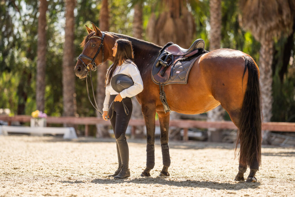 Botori and Donadt Dressage Horse 