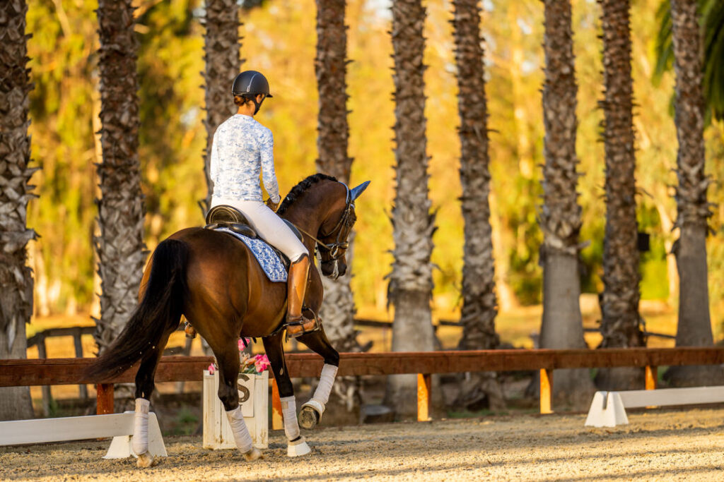 Dressage rider Donadt Dressage in Dapplebay Toile set