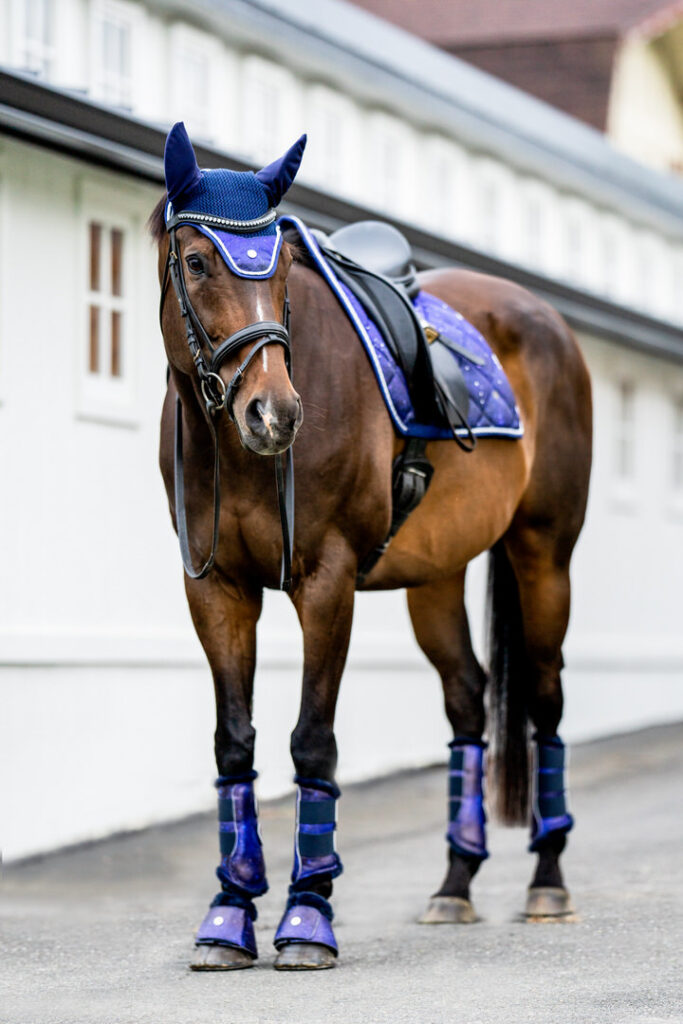 Dapplebay horse constellation match set fancy barn