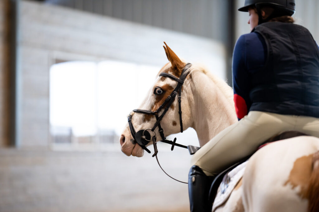 Anne Kursinski Clinic hosted by Meg Dunne Training at Heirloom Equestrian Center