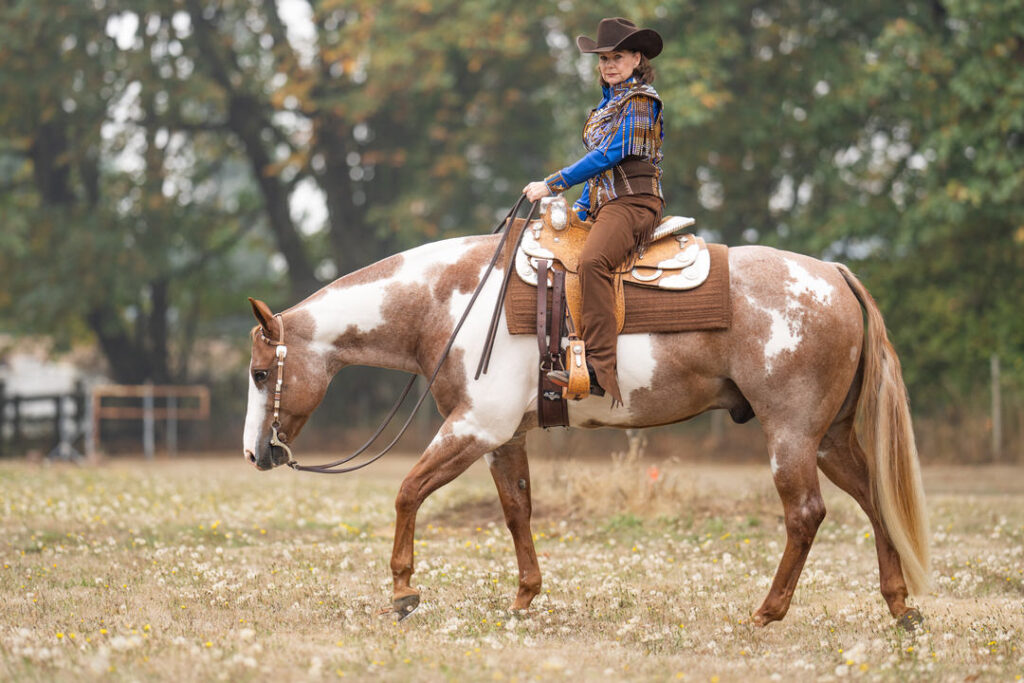 Western horse and rider, western pleasure, photographed at Baker Training Stable