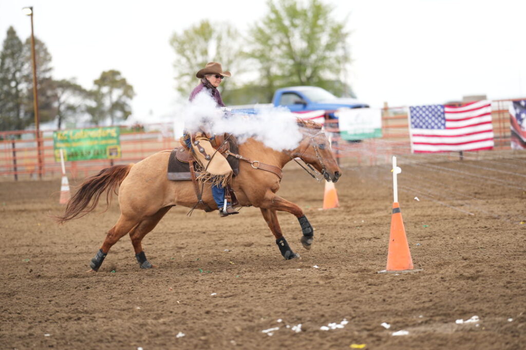 Mounted Shooting Washington State