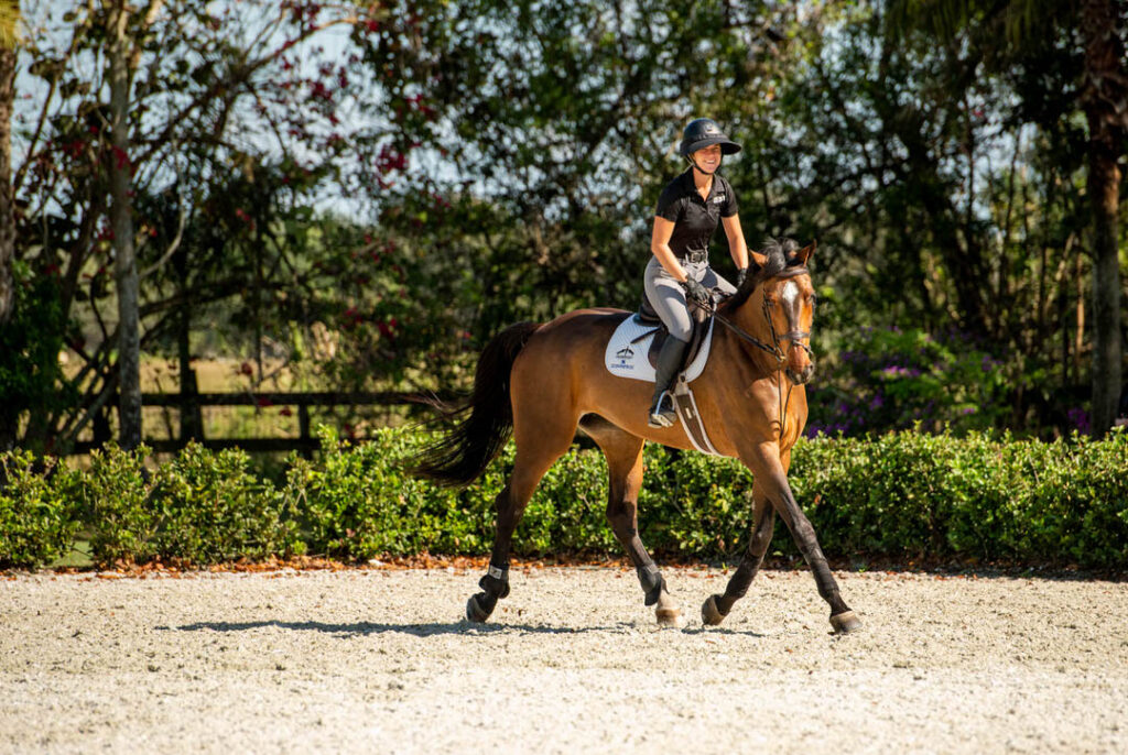 Canadian Rider Jacqueline Steffens Daly Eye Candy Jumpers
