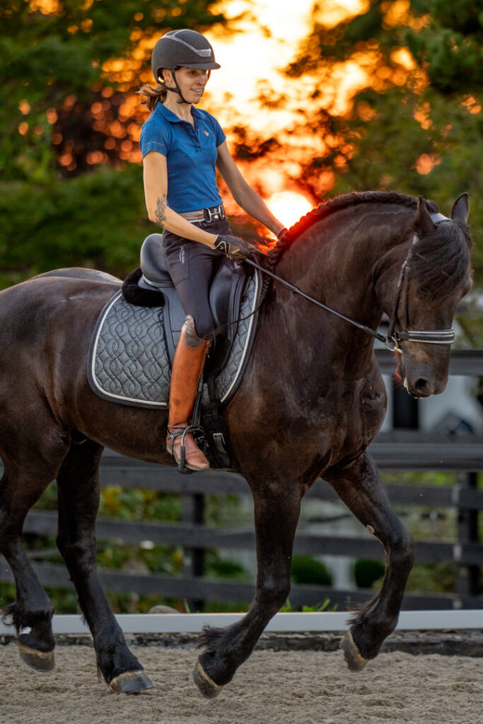 Dressage Rider at Sunset